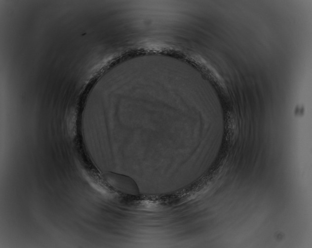 X0000100860496200807181139