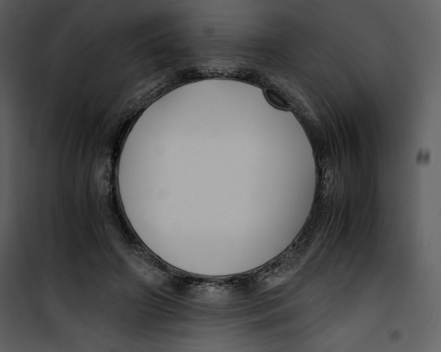 X0000100860498200807181139