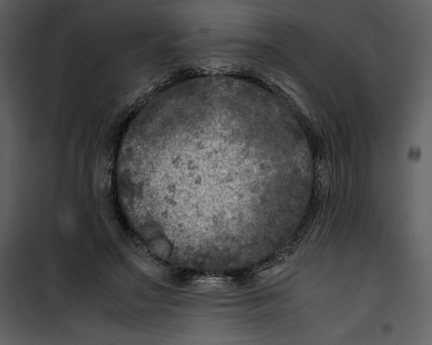 X0000100860499200807181139