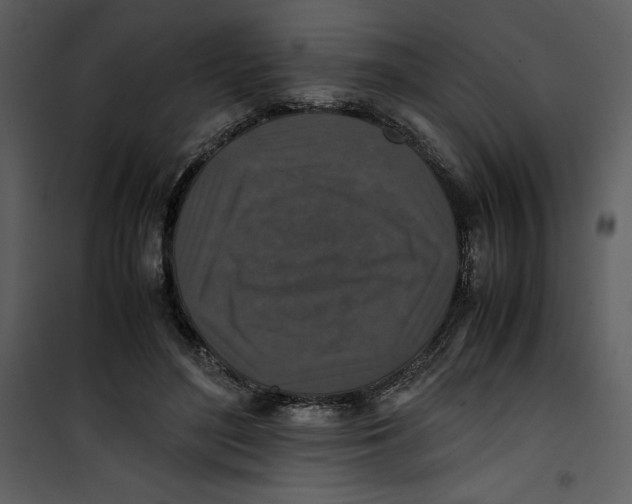 X0000100860500200807181139