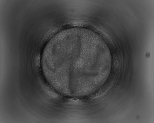 X0000100860502200807181139