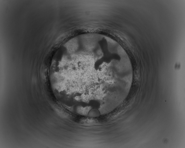 X0000100860503200807181139