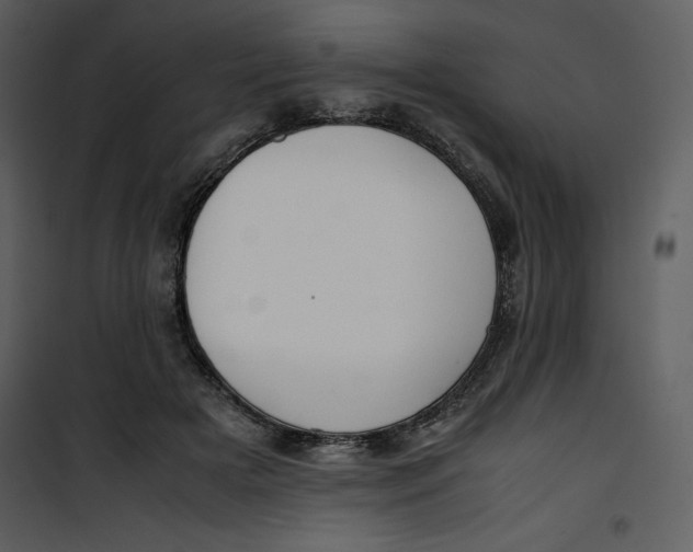 X0000100860505200807181139