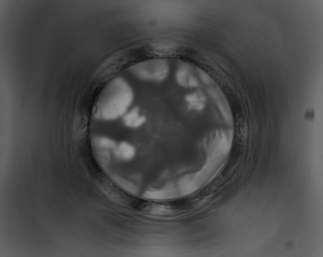 X0000100860507200807181139