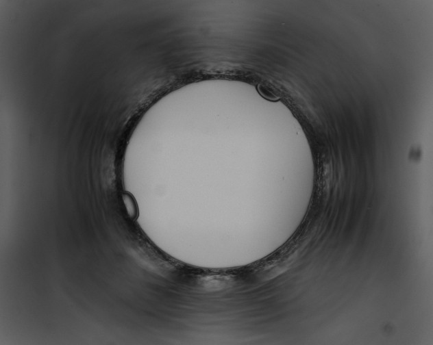 X0000100860508200807181139