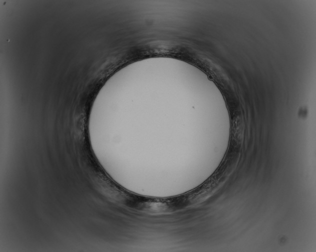 X0000100860509200807181139