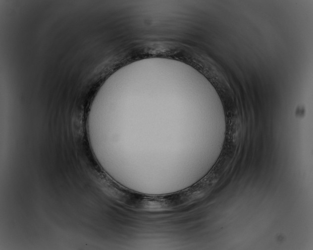 X0000100860510200807181139