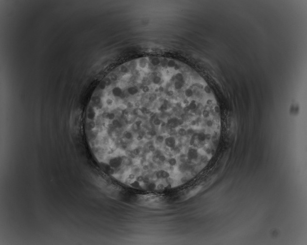 X0000100860511200807181139