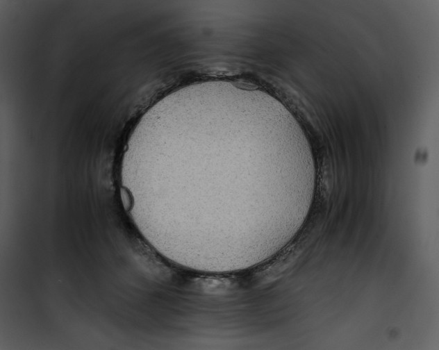 X0000100860512200807181139