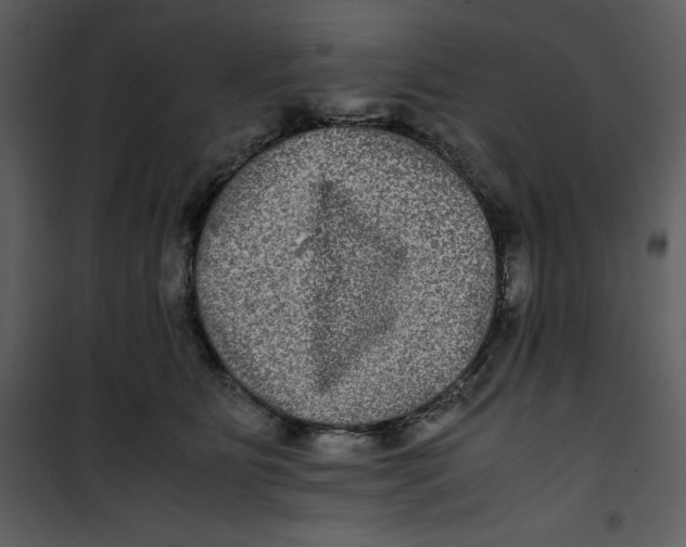 X0000100860515200807181139