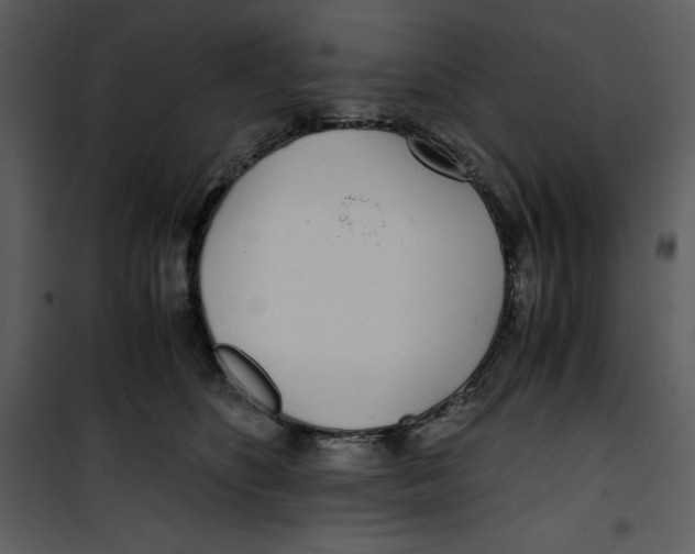 X0000100860516200807181139