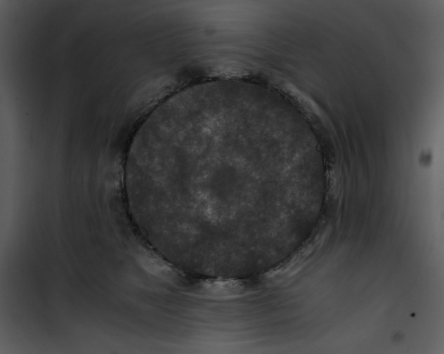 X0000100860517200807181139