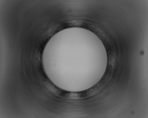 X0000100860518200807181139