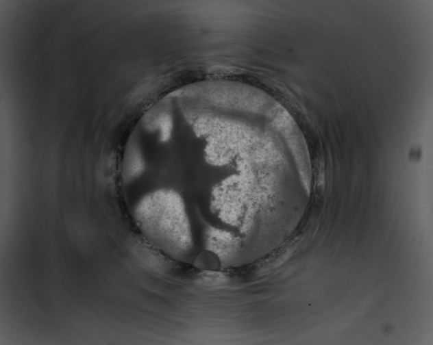 X0000100860519200807181139