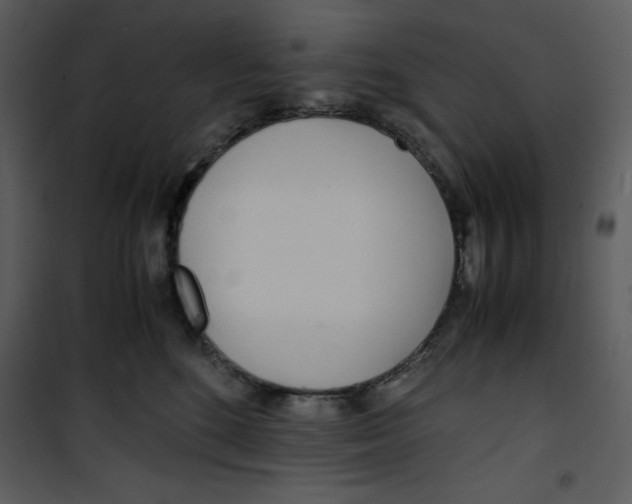 X0000100860520200807181139