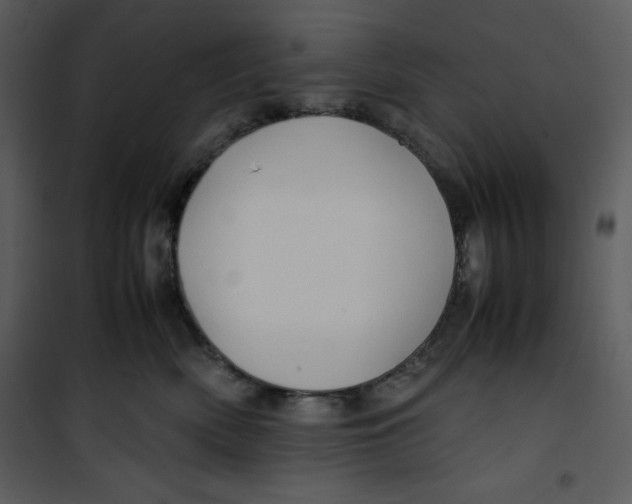 X0000100860522200807181139