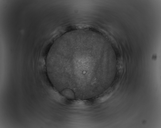 X0000100860523200807181139