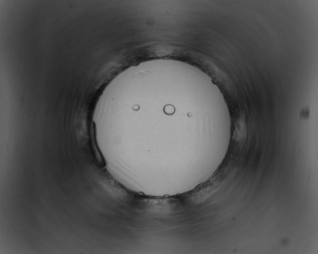 X0000100860524200807181139