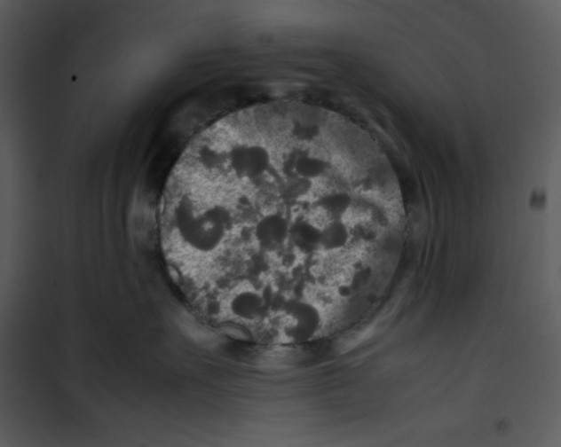 X0000100860527200807181139