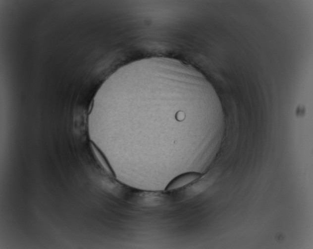 X0000100860528200807181139