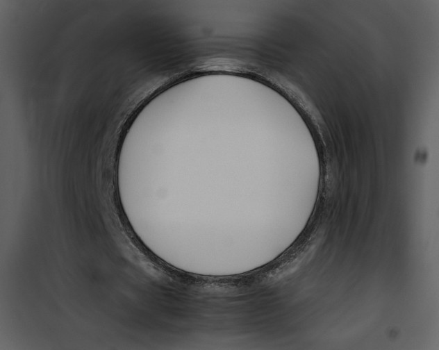 X0000100860529200807181138