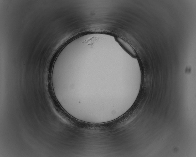 X0000100860530200807181138