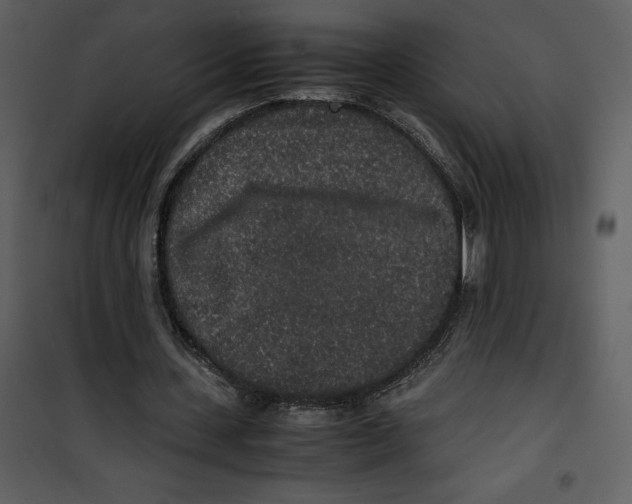 X0000100860531200807181138