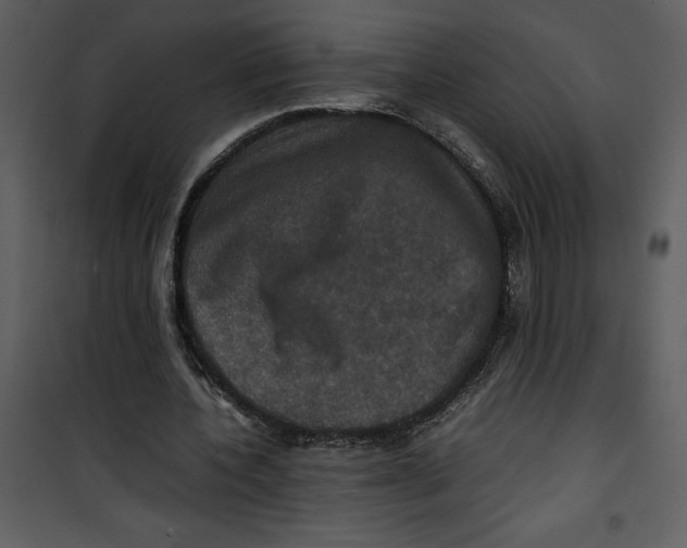 X0000100860532200807181138