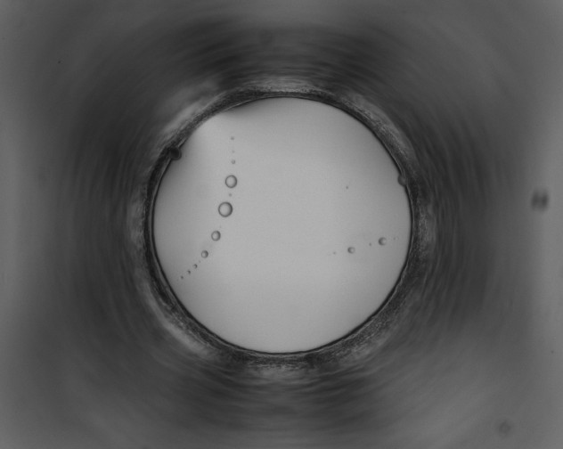 X0000100860533200807181138