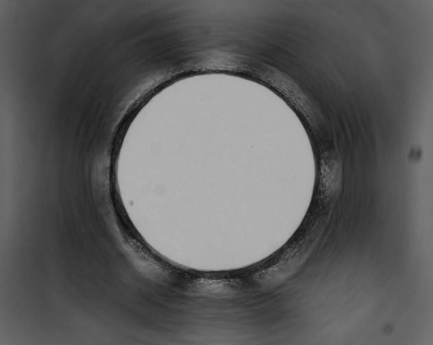 X0000100860534200807181138