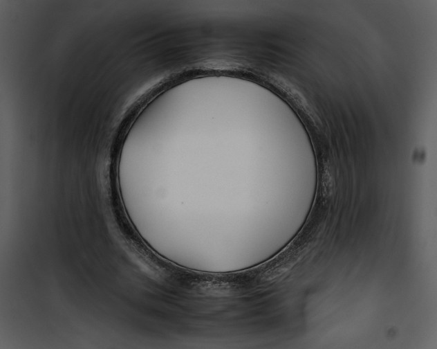 X0000100860535200807181138