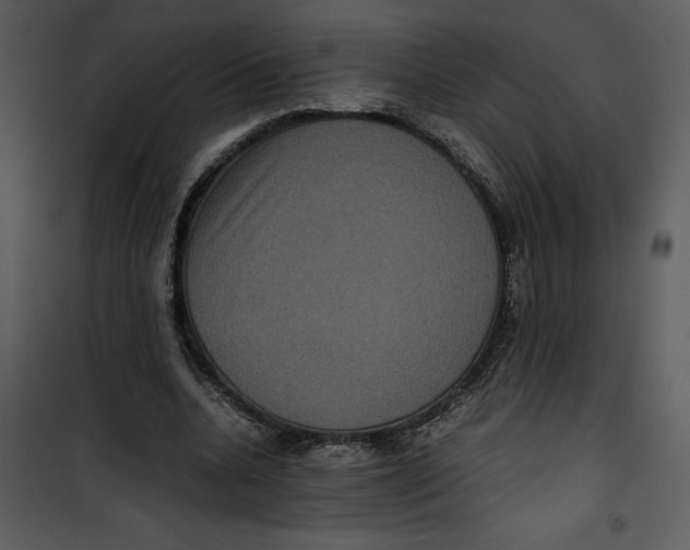 X0000100860536200807181138