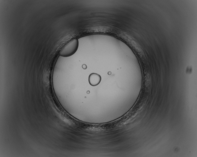 X0000100860537200807181138