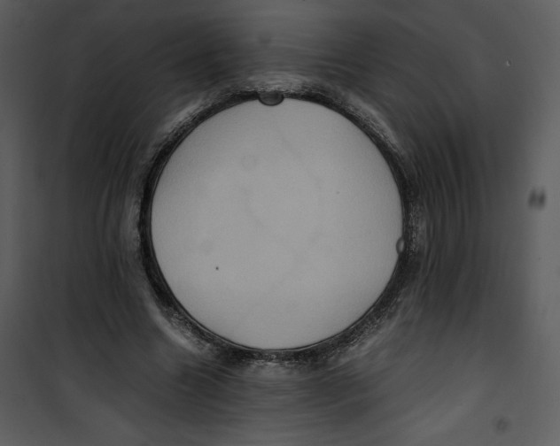 X0000100860538200807181138