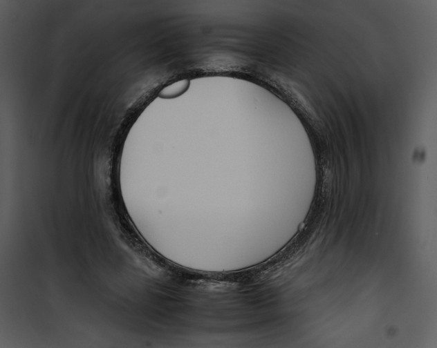 X0000100860539200807181138