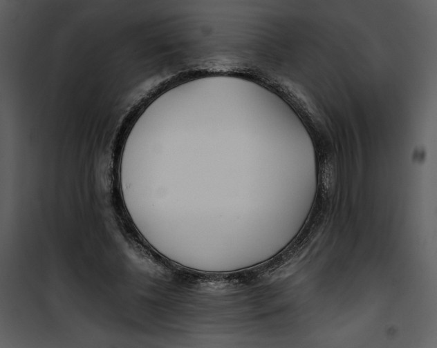 X0000100860540200807181138