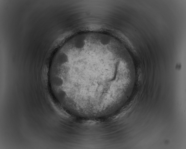 X0000100860542200807181138