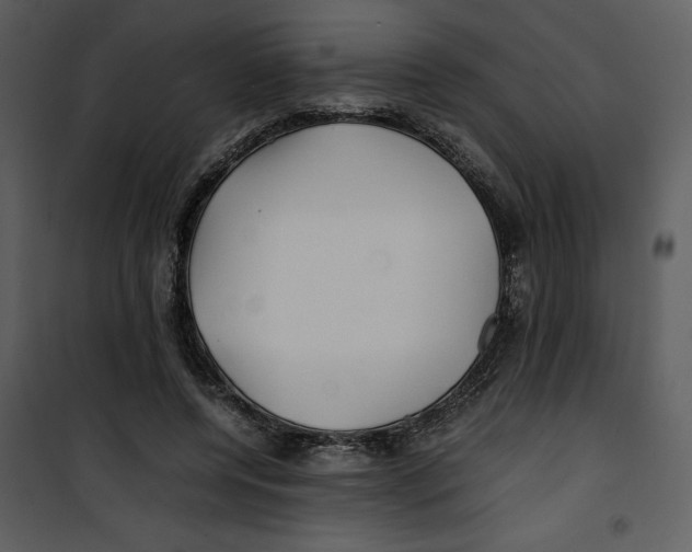 X0000100860544200807181138