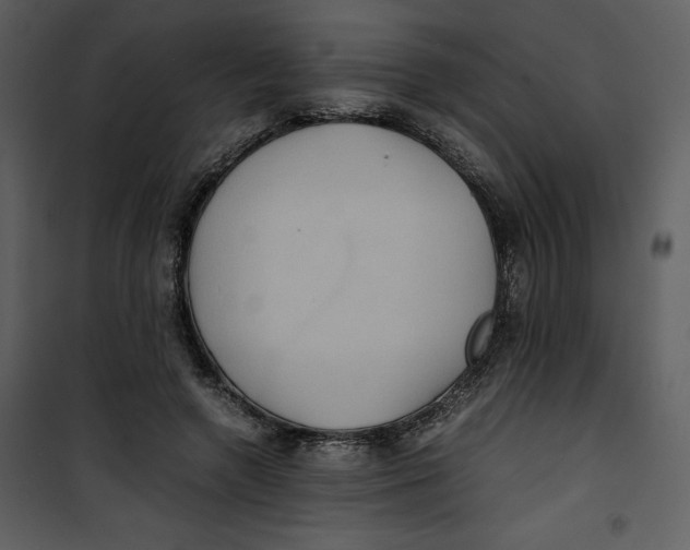 X0000100860546200807181138