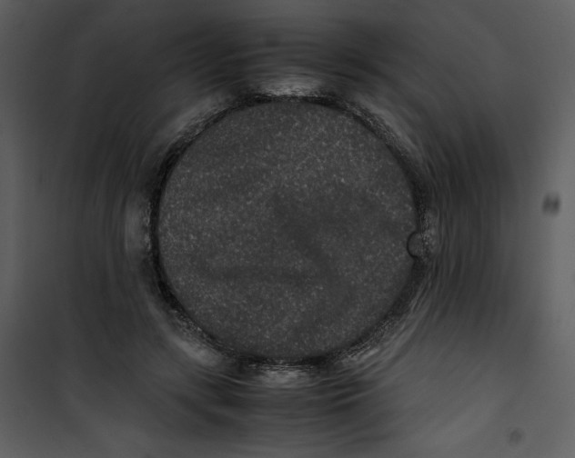 X0000100860547200807181138