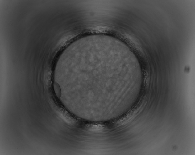 X0000100860548200807181138