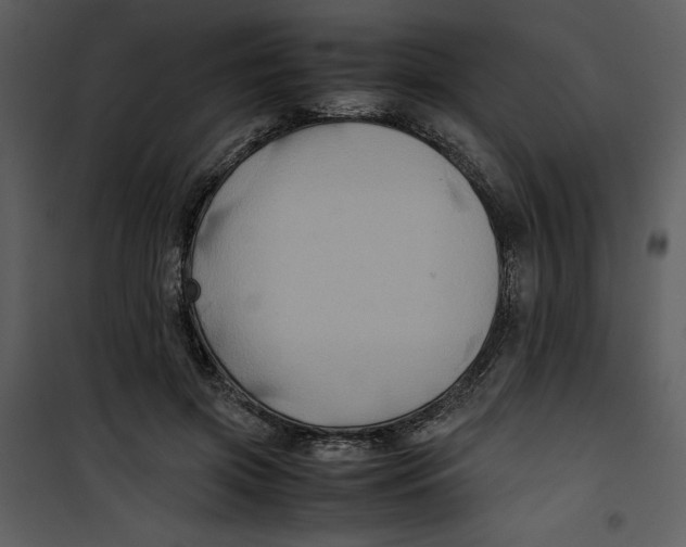 X0000100860549200807181138