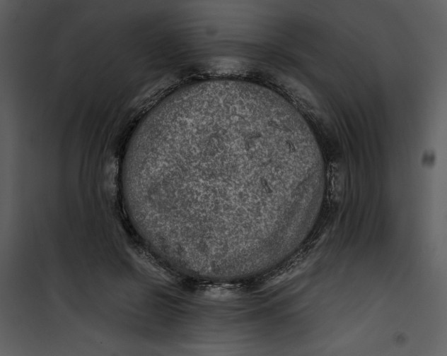 X0000100860550200807181138