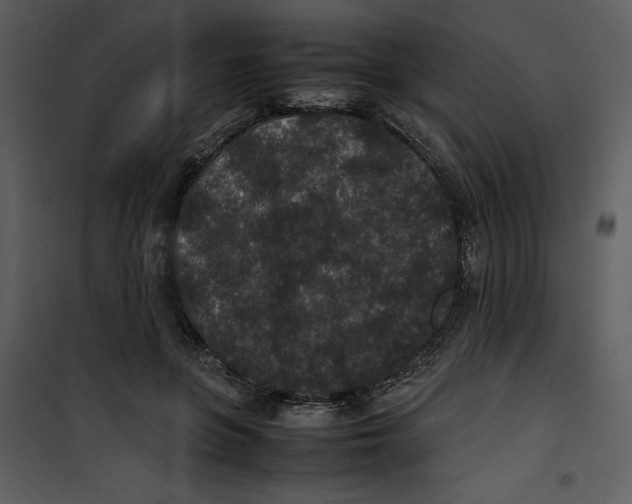 X0000100860551200807181138