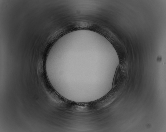 X0000100860552200807181138