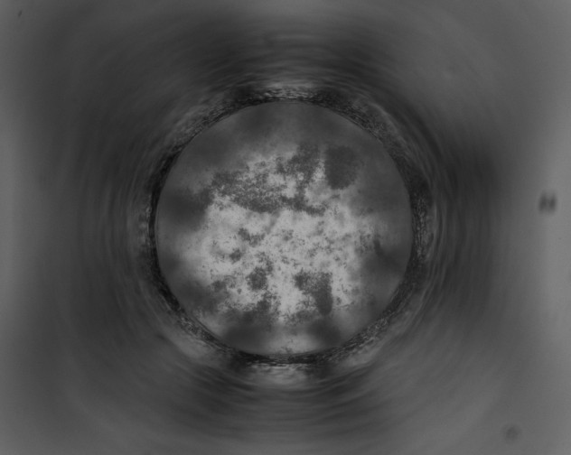 X0000100860553200807181138