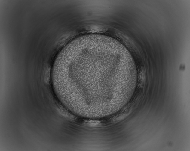 X0000100860554200807181139