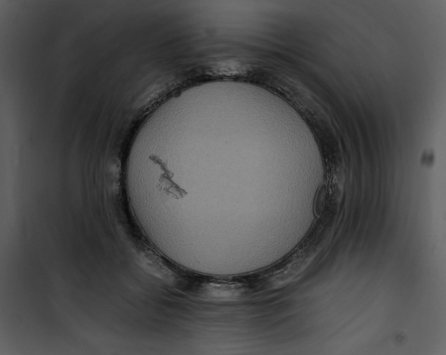 X0000100860556200807181139