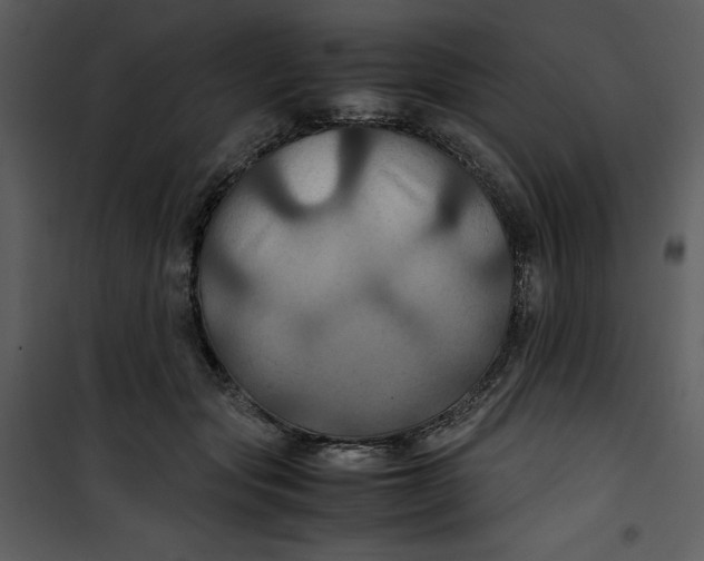 X0000100860557200807181139