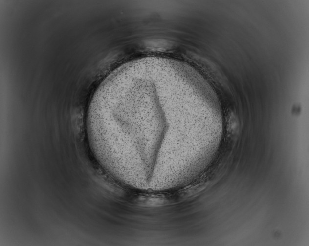 X0000100860559200807181139